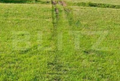 Teren de 4500 mp, în Vidra - 1