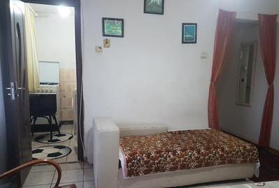 Apartament doua camere mobilat, la parter, Tic Tac, langa Universitate - 10