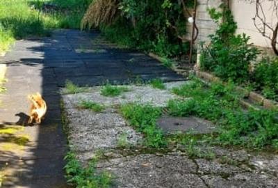 Casa 7 camere suprafata utila 300mp, teren 1000mp,spre vanzare in Cisnadie Casa 7 camere suprafata utila 300mp, teren 1000mp,spre vanzare in Cisnadie - 3