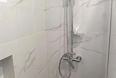 Apartament cu 3 camere semidecomandat în Careiului - 1