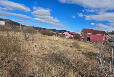 Teren Construcții intravilan de 4019 mp, în Est - 5