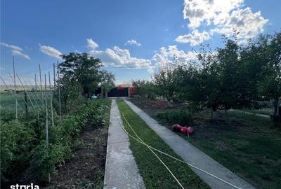Casă cu 4 camere cu Teren 684 Mp în Dumești - 13