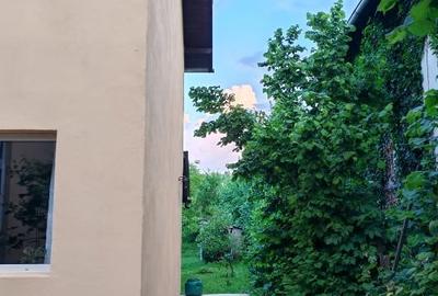 Casă individuală cu 4 camere cu Teren 530 Mp în Răzvad - 5