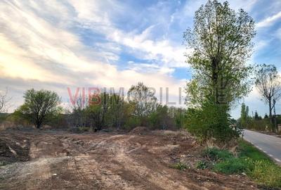 Teren intravilan de 800 mp, în Izvorani - 4