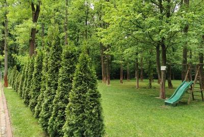 Pipera/Divani/Garsoniera spatioasa/ - 6