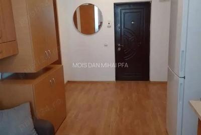 Garsonieră decomandată în Turnișor - 10