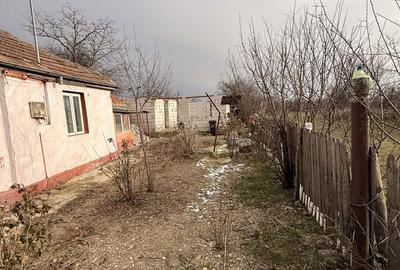 Casă cu 2 camere în Lacu - 2
