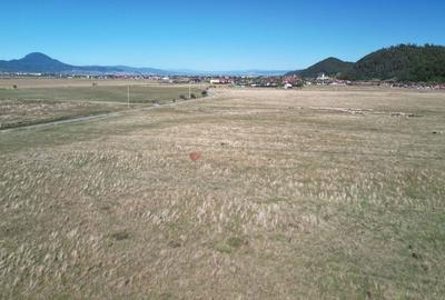 Teren extravilan Rasnov - 15