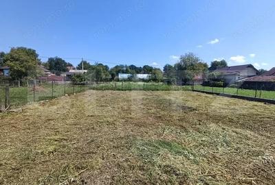 Casa cu 3 camere ?i o bucatarie de vara ?i 1300 mp teren ?i anexe - 13