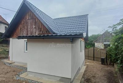 Casa de in Saliste aproape de Transalpina - 3