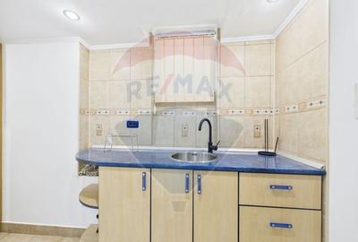 Apartament in vila de inchiriat in zona Kiseleff - 19