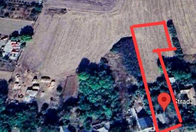 Teren aproape de Bucure?ti 6000mp - 1