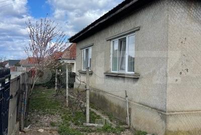 Casa cu 2 camere, 91 mp, teren 3.400 mp, zona comuna Apa - 12
