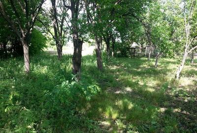 Teren de 1443 mp, în Exterior Vest - 6