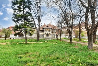 Vila interbelica isi asteapta cu speranta tacuta noul proprietar - 2