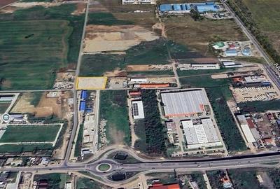Vanzare teren Domnesti - Centura, ILFOV - 3