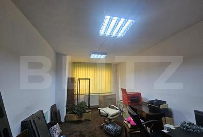 Casa individuala, 350 mp utili, zona Gruia - 3