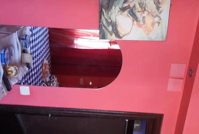 Apartament cu 2 camere semidecomandat în Viziru 3 - 3