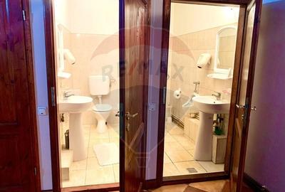 Pensiune cu 13 camere de vanzare in Bulz - 19