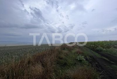 Teren de vanzare extravilan 30000 mp Sura Mare Sibiu - 3