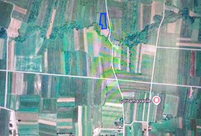 Spațiu comercial, în Vicovu de Sus - 4