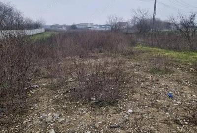 Teren de 1250 mp, în Malu Mare - 3