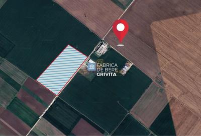 Teren extravilan 78.657 mp, deschidere de 480 ml, Popesti-Leordeni, If - 3