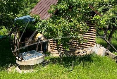 Teren intravilan cu casa- 1740 mp. in Provita de Sus-PH - 11