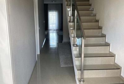 Vand duplex lipovei britis scholl aradului - 3