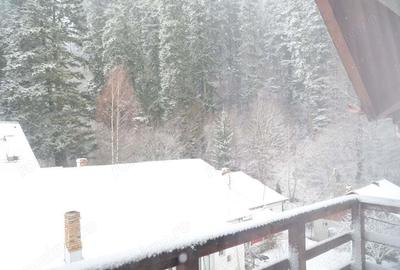 Apartament cu 3 camere decomandat în Poiana Țapului - 8