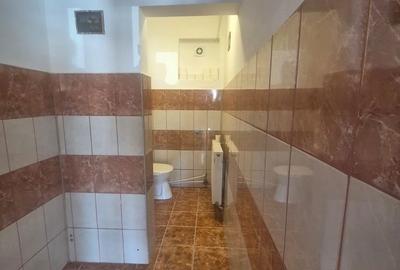 Spațiu comercial, de 262 mp, în Alexandru cel Bun - 7