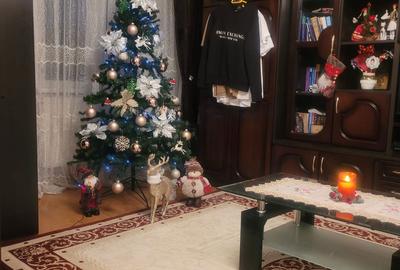 Apartament cu 3 camere în George Enescu - 1