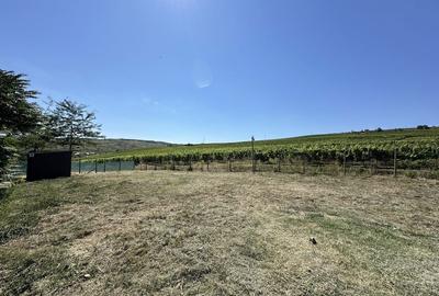 Teren de 1063 mp, în Exterior Vest - 4