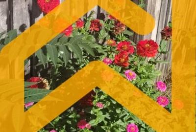 Casă individuală cu 3 camere cu Canalizare în Cotroceni - 13