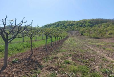 Spațiu comercial, în Vladimir - 2