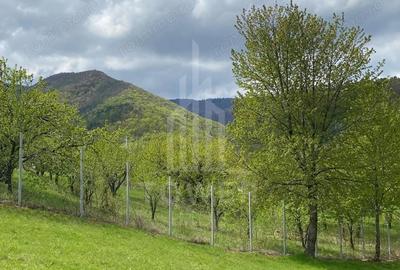 Teren de 1042 mp, în Sadu