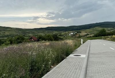 Teren autorizat in Borhanci, Colonia Sopor - 5