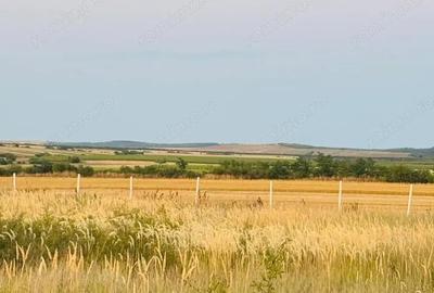 Teren de 6666 mp, în Alioș - 2