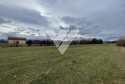 Teren intravilan pentru dezvoltare rezidentiala 4400 mp - 4