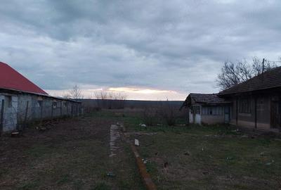 Casă cu 4 camere cu Teren 1800 Mp în Vetrișoaia - 3