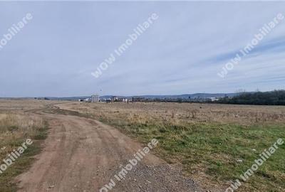 Teren Intravilan de 4600 mp de vanzare in Sibiu Strada Coralului - 2