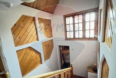 Casa de vancata Bucsoaia - 23