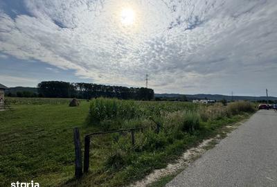 Teren de 7500 mp, în Mihăești - 2