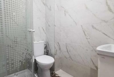 Garsoniera  renovata 37900 euro,  Iasi - 6
