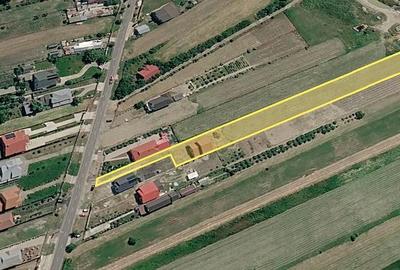 Casă cu 4 camere cu Teren 3690 Mp în Milcovul - 12