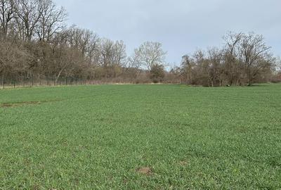 Spațiu comercial, în Nuci - 1