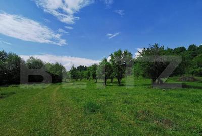 Teren, aproximativ 1 ha, in apropiere de Bistrita - 2