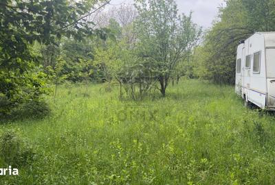 Teren de 1585 mp, în Cornu - 1