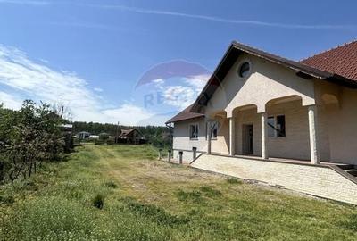 Casa cu 5 camere finisata si 10.400 m2 teren de vanzare in BOTIZ SM - 10