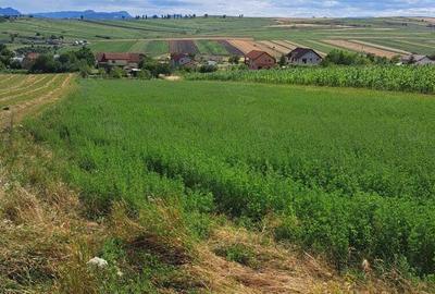 Teren de 1970 mp, în Tureni - 2